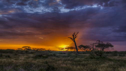  - Tanzania-Sunset