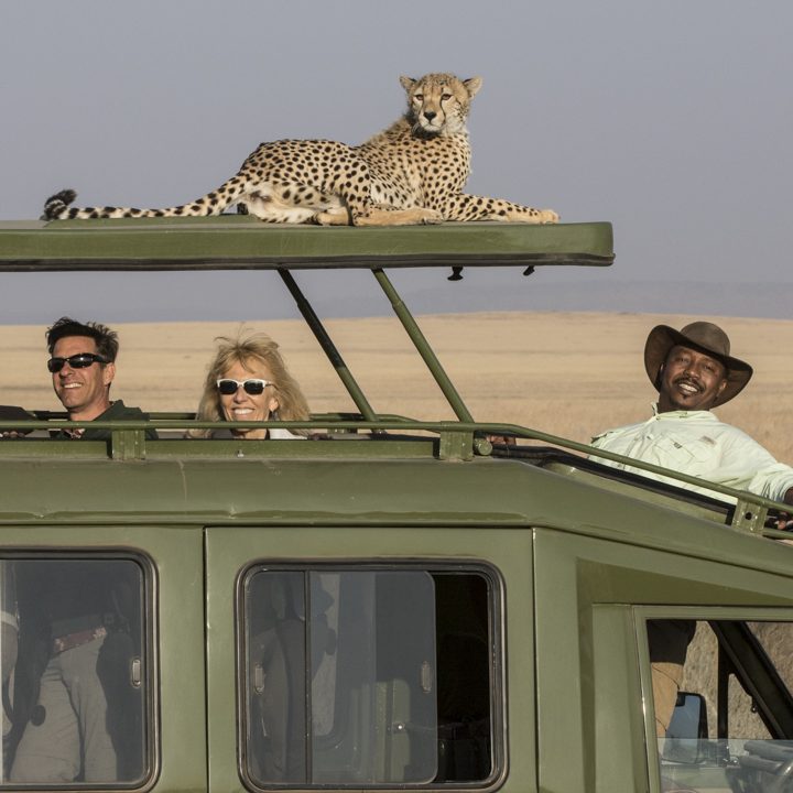 safari photo kenya