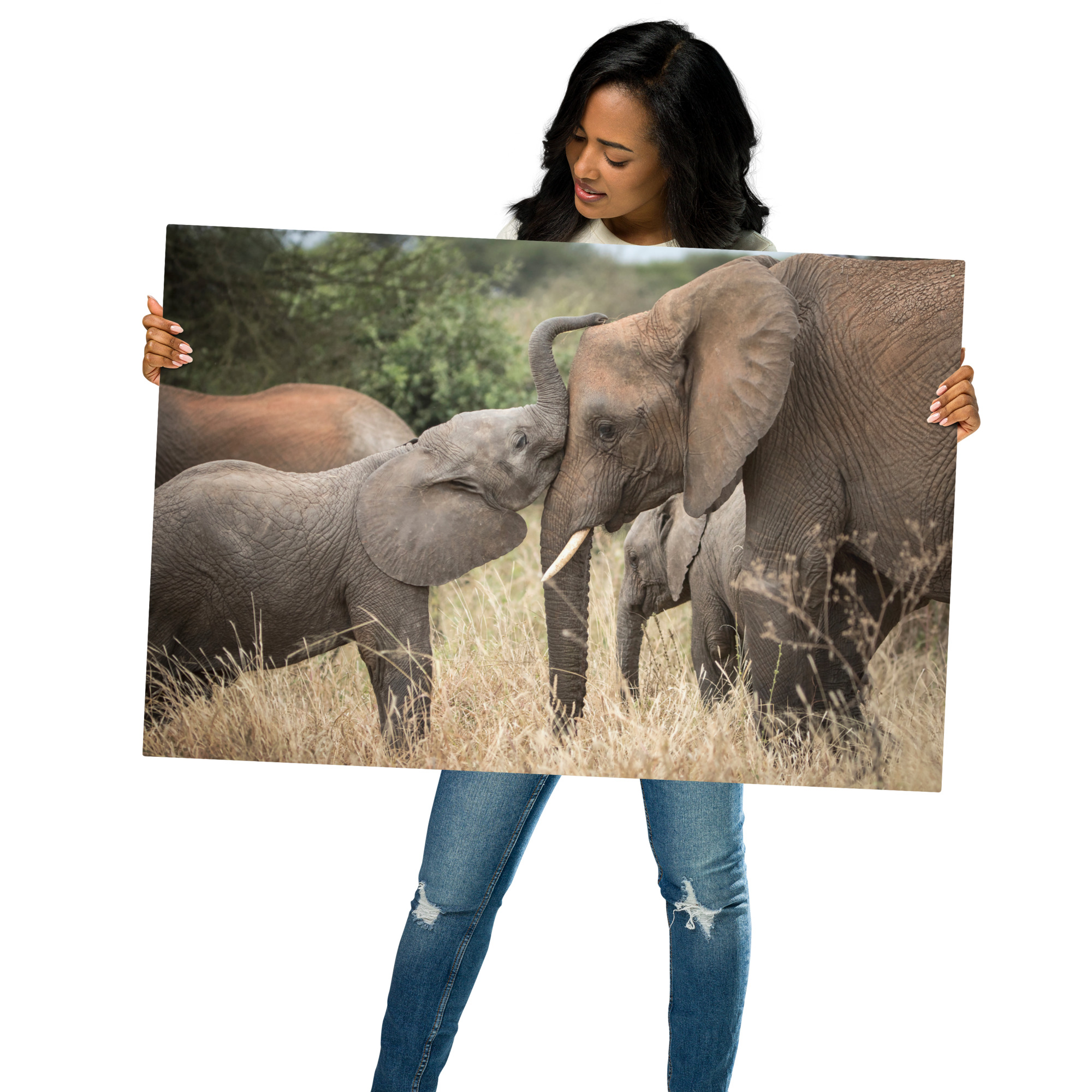 Affectionate Elephants - Elephant and Calf - Metal Art Print - Image 4