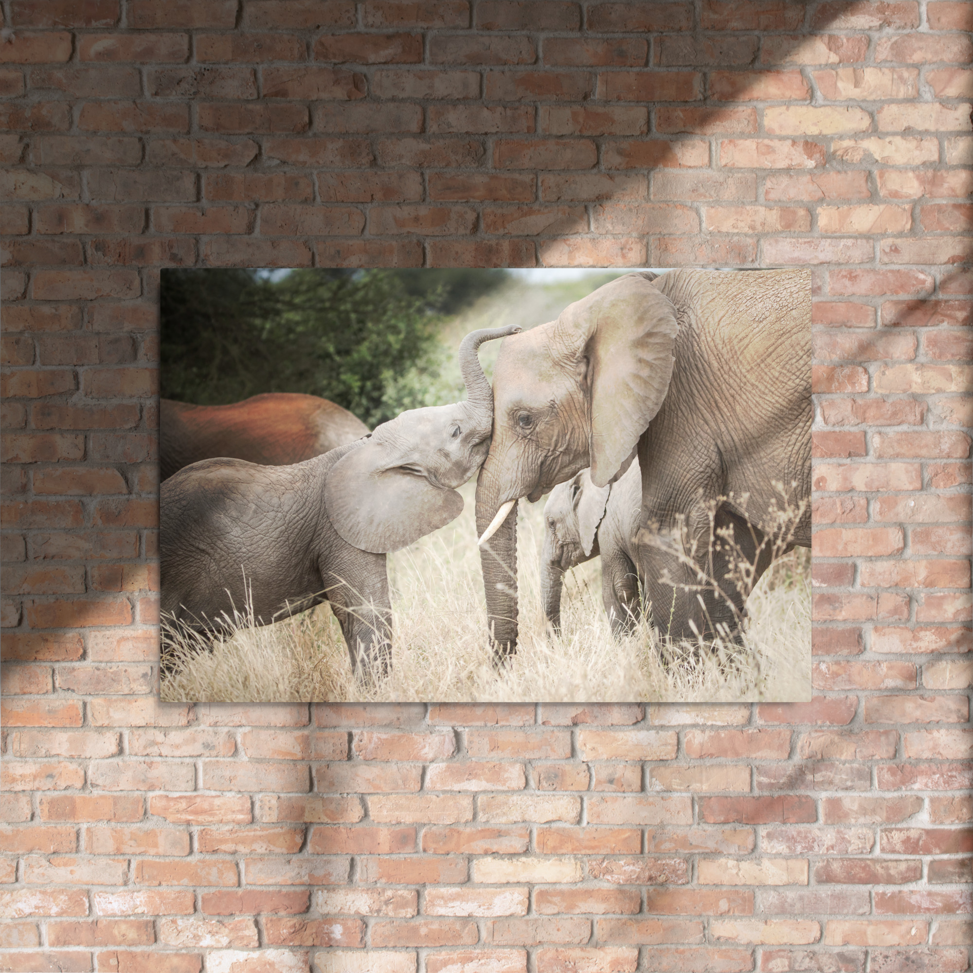 Affectionate Elephants - Elephant and Calf - Metal Art Print - Image 3